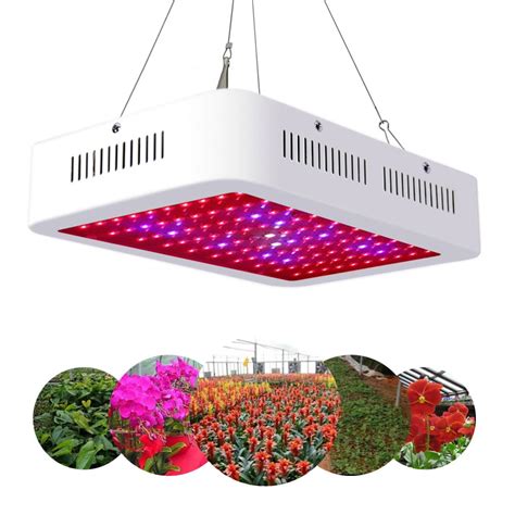 1000W 100 LED High Brightness Full Spectrum Grow Light for Medical ...