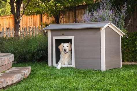 New Age Pet ThermoCore Insulated Canine Cabin dog house