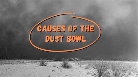 3 Causes of the Dust Bowl in the Great Depression - History in Charts