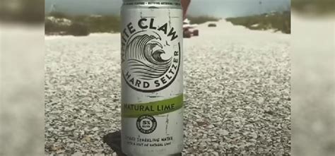 Vizzy vs White Claw: What's the Difference? (2024 Updated)