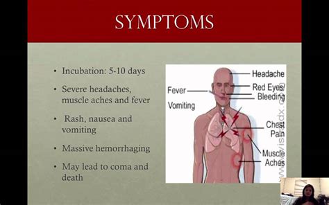 marburg virus symptoms - DrBeckmann