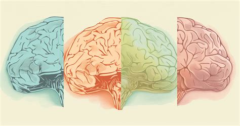 What is Spatial Memory?