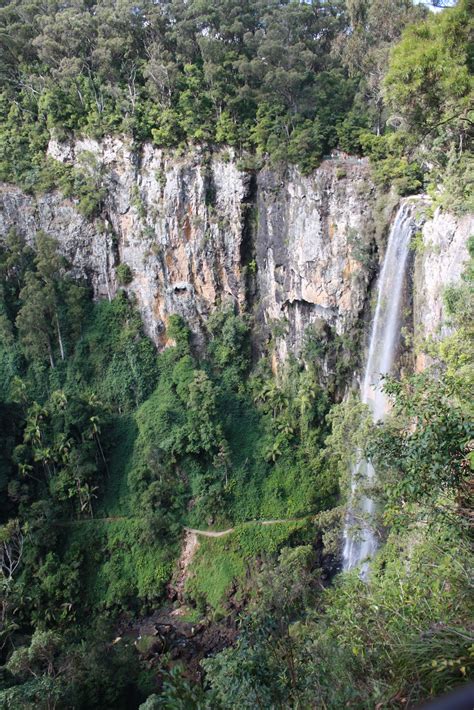 Australian Adventures: Springbrook National Park and Rainforest