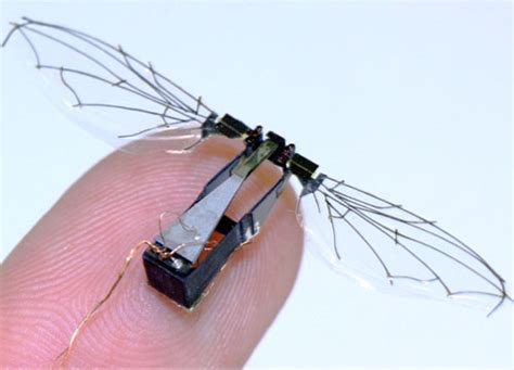 Robotic Flies | Bio-Aerial Locomotion