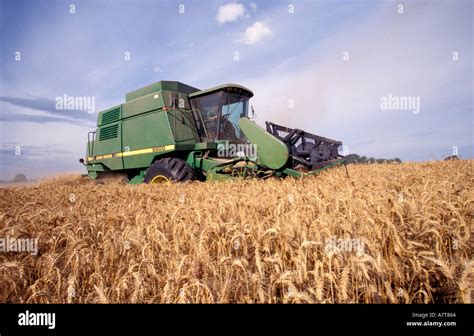 Machine Harvesting Wheat Stock Photo - Alamy