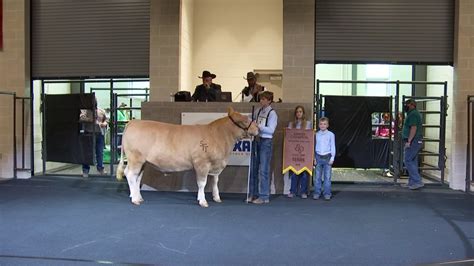 State Fair of Texas Hosts 72nd Annual Big Tex Youth Livestock Auction ...