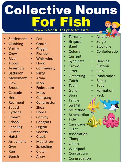 Collective Nouns For Fish (With Meaning and Examples) - Vocabulary Point