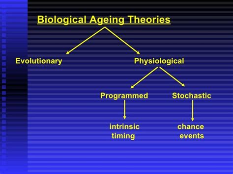 Aging Theories