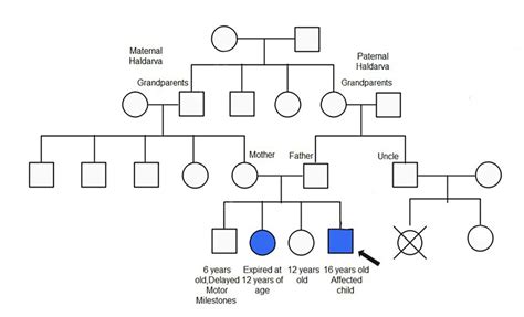 Pedigree chart of the family representing consanguineous marriage and... | Download Scientific ...