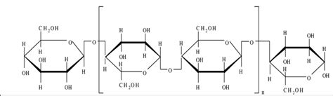 Cellulose Molecule