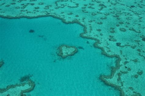 File:Queensland heart reef.jpg - Wikimedia Commons