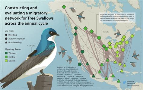 Dr. Ryan Norris on Twitter | Bird species, Bird migration, Breeds