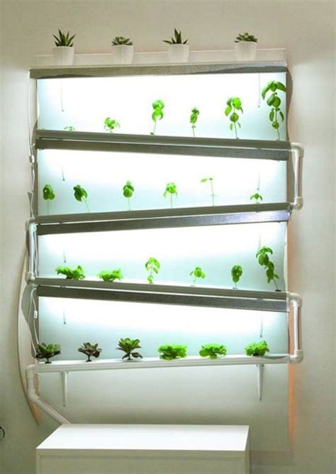 How To Make An Indoor Hydroponic Herb Garden - Millie Diy