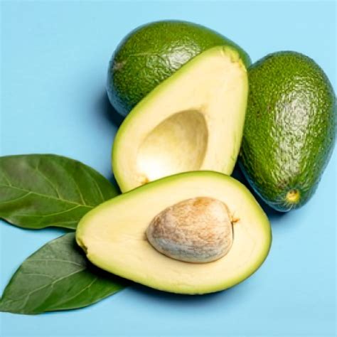 Fuerte Avocado Tree For Sale - From The Garden