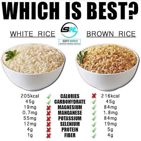 1 Cup Rice Calories - 1/2 Cup of skim milk has more calories in Cheerios than in ... / Rice is ...