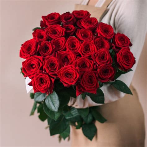 Bouquet of 25 red roses - Roses