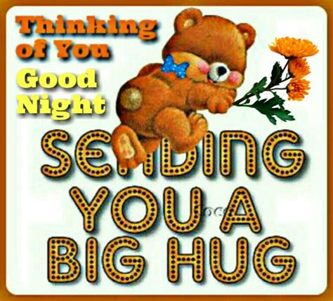 Thinking of You Good Night Big Hug | Hug quotes, Love hug, Hug images