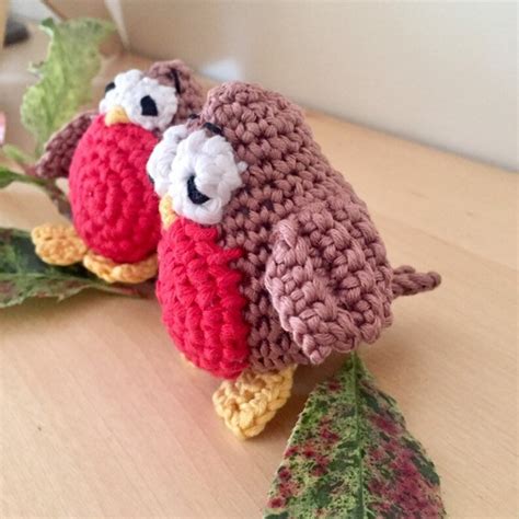 PDF pattern amigurumi crochet robin | Etsy