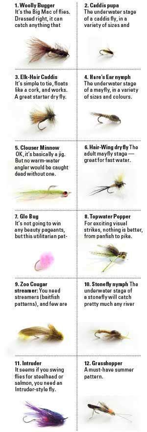 A Novice's Guide to Fly Fishing #fishing | Trout fishing tips, Fly fishing tips, Fly fishing