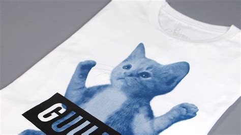 Guilty Cat on Behance