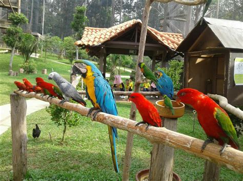 Bird Park in Malaysia. © LetsGoHoliday.my