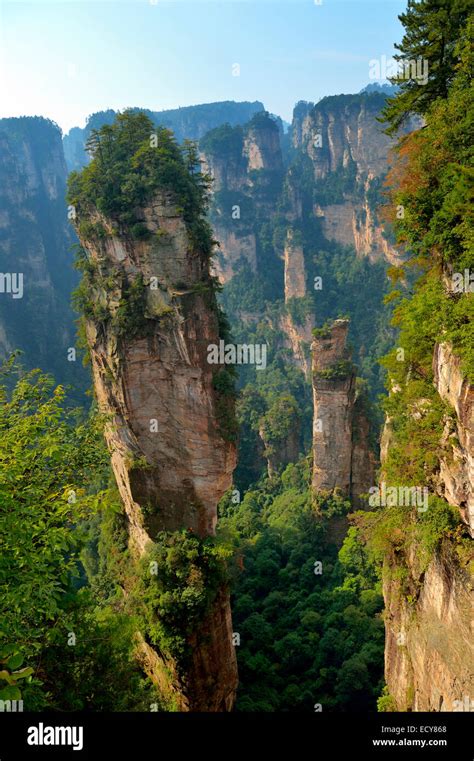 "Avatar" mountains with vertical quartz sandstone rocks, Zhangjiajie ...