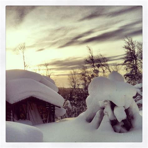 Winter wonderland. Geilo, Norway | Winter scenes, Winter wonderland, Norway