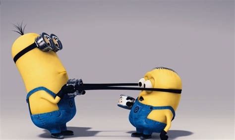 What We Know About Minions from the Minions Movie - Halloween Costumes Blog