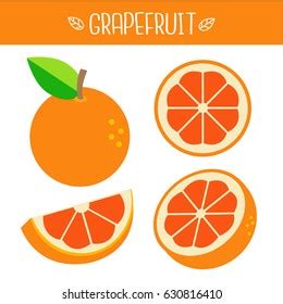 Grapefruit Vector Illustration Stock Vector (Royalty Free) 630816410 | Shutterstock