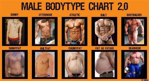 What's your "bodytype" according to this chart? | Body types, Fitness ...