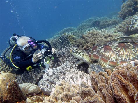 Scuba diving in Coron, Busuanga, Palawan - Coron Backpacker Guesthouse