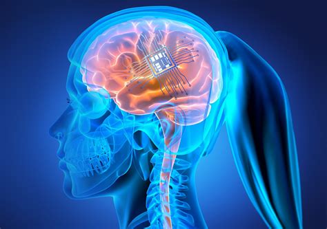 Scientists Test Promising Biosensor Aimed for Use in Brain - Global ...