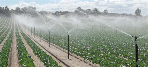 Irrigation design for agriculture | Agriculture and Food