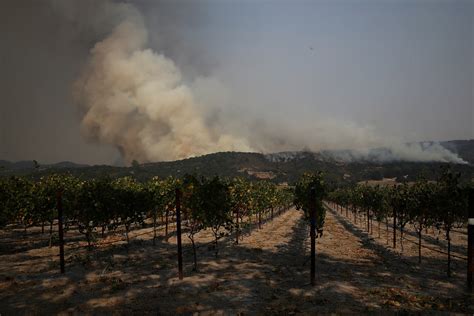 Firefighters stop flames from advancing into Sonoma | 89.3 KPCC