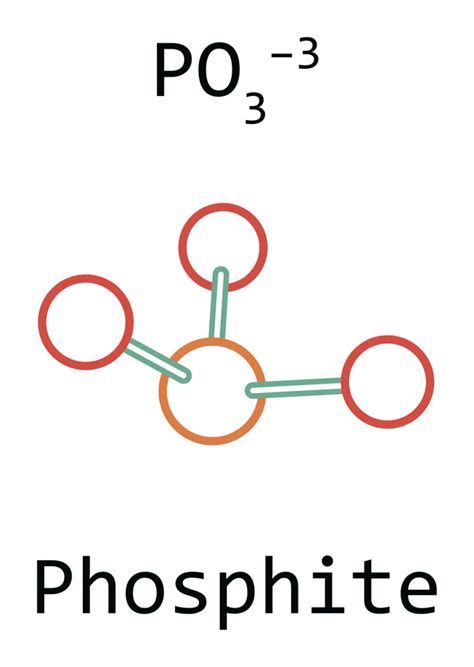 Phosphate vs Phosphite: Let's Know about Both