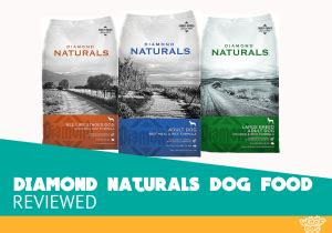 Diamond Naturals Dog Food Reviews (2021): How Good Is It for Dogs? | TopRatedDogFoods.com