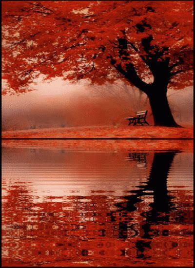 Fall Tree and Lake | Beautiful fall, Scenery, Beautiful tree