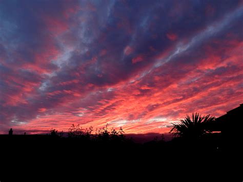 Altocumulus at Sunset - Cloud images - Netweather Community Forums