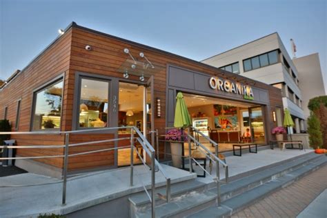 5 Vegan/Vegetarian Friendly Restaurants You Should Try in CT - Nefaire