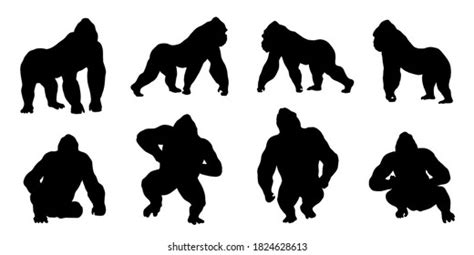 Gorillas Stock Photos and Pictures - 97,085 Images | Shutterstock