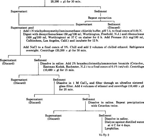 Figure 1 from Antigen from Salmonella typhosa and Immunity Against ...