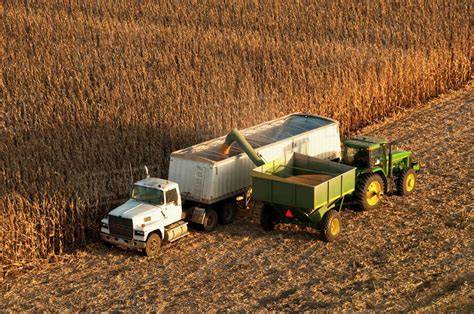 Agriculture - Along The Edge Of A Mature Grain Corn Field A Grain Cart Unloads Harvested Corn ...