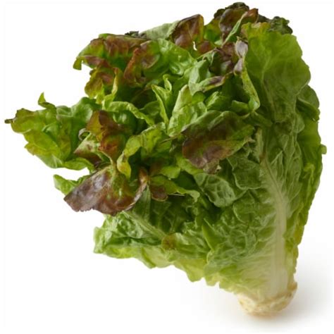 Red Leaf Lettuce, 1 ct - Dillons Food Stores