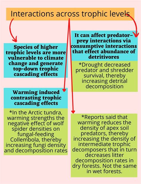 Climate Change & Arthropod Detritivores – Science? No more complicated