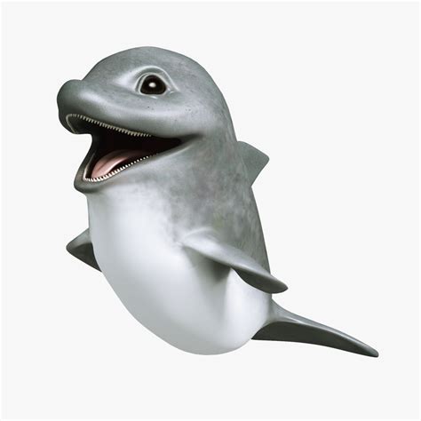 3d model dolphin