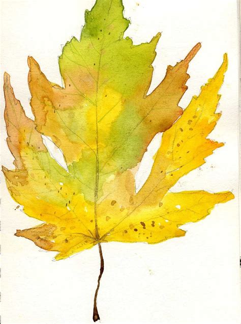 Sketches and Drawings: fall leaves | Watercolor, Watercolor leaves, Leaves