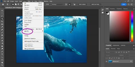 Features of Adobe Photoshop CS5 for Every Learner - Clipping Amazon