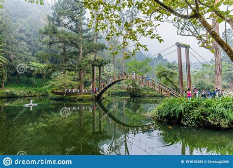 Xitou Nature Education Area Editorial Image - Image of bridge, park ...