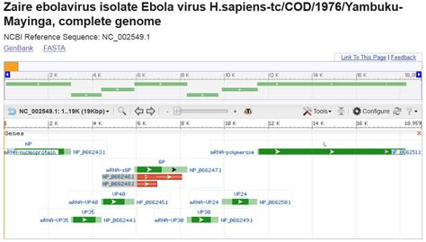 The Ebola Virus Genome and Proteome