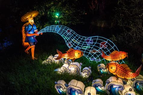 Auckland Lantern Festival Fisherman – Aucklife